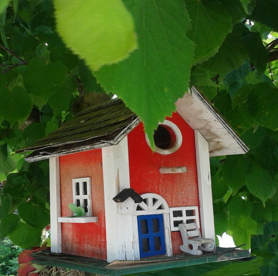 Ferienwohnung Holl Worms Dış mekan fotoğraf